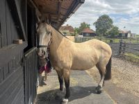 Customer Success Gallery - 